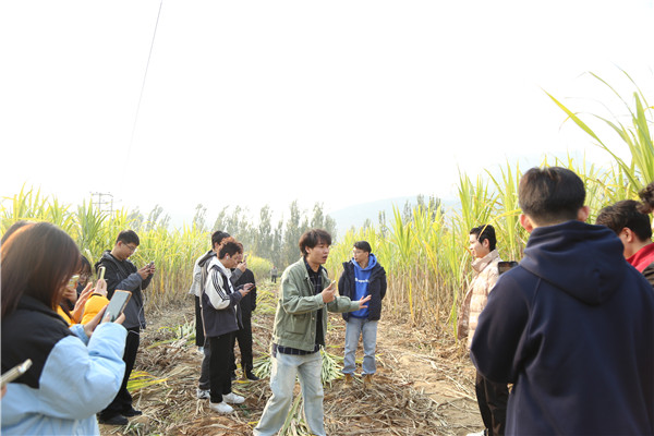 ʯ���f���A��X�WУ